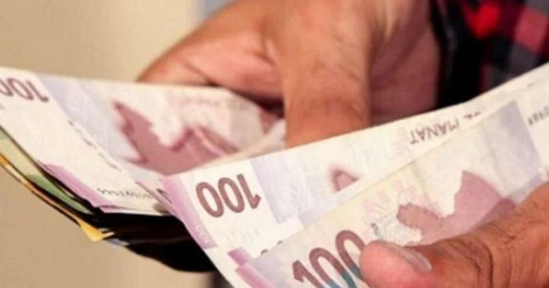 Üzüm yarpağını zibilliyə atdı, 150 manat cərimələndi