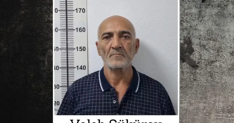 Tərtərdə kultivasiya ilə yetişdirilən 251 ədəd çətənə kolu aşkarlandı