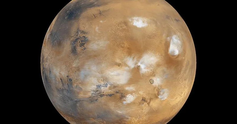 Yer kürəsinin patogen bakteriyaları Mars şəraitinə meydan oxuyur