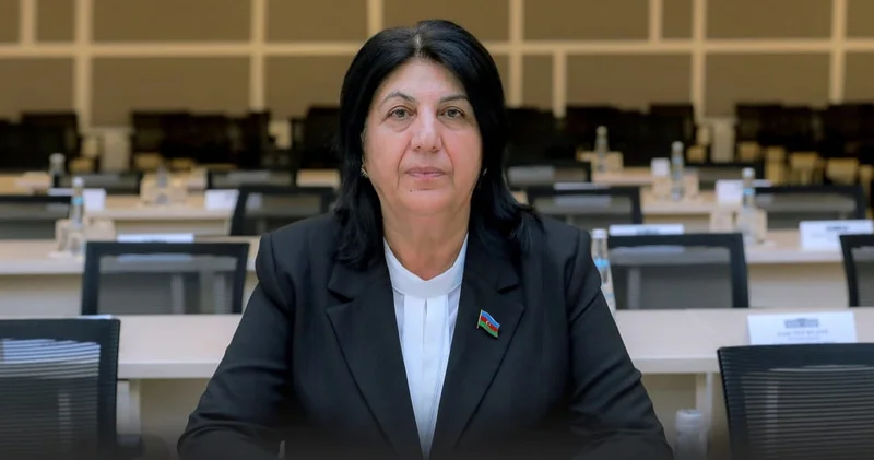 44 günlük Vətən müharibəsi Azərbaycan Ordusunun gücünü bütün dünyaya nümayiş etdirdi ŞƏRH