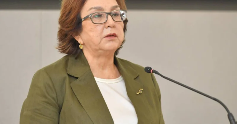 İmtahan bitən kimi “ictimai ekspertiza başlayır” Məleykə Abbaszadə