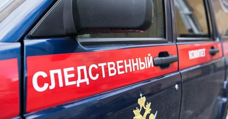 Следком РФ назвал причастных к недавней атаке на автобус с детьми из Беларуси