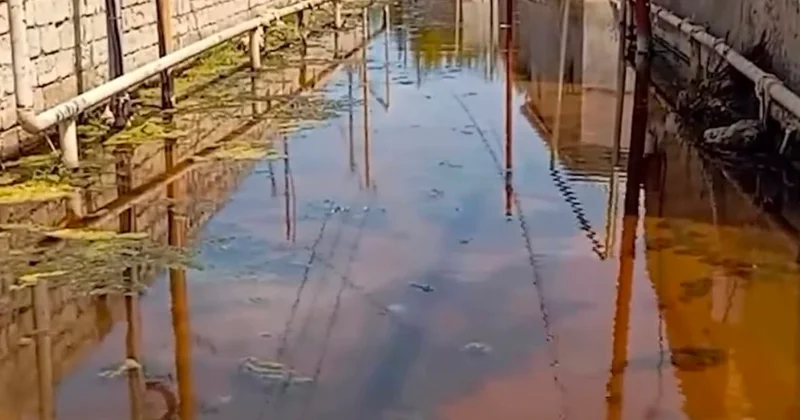ın işıqlandırdığı problemə aidiyyəti qurum aydınlıq gətirdi