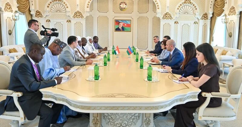 Milli Məclisin sədri Niger Respublikası Məsləhət Şurasının sədri ilə görüşüb