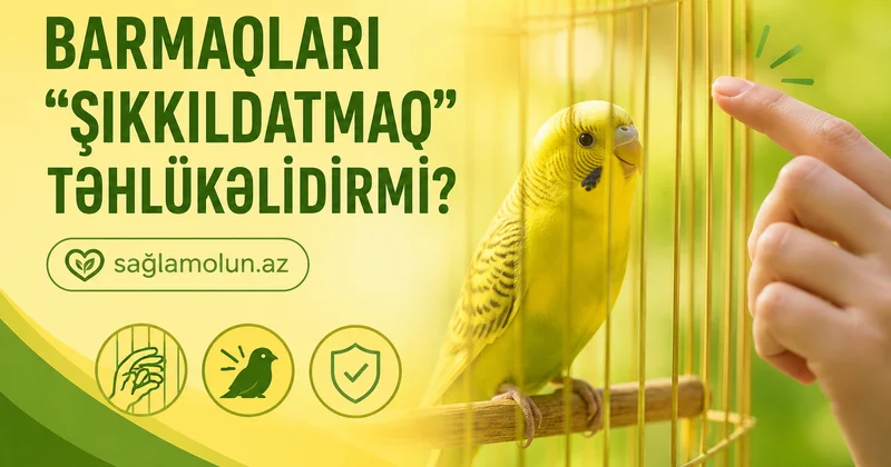 60 il öz əlində təcrübə aparan alim sübut etdi