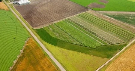 Birləşdirilməsi üçün hüquqi əsas yaradılması nəzərdə tutulur KONKRET