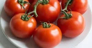 Yayda bol pomidor yeyin Xərçəngdən qoruyur