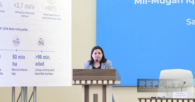 Ильхама Гадимова: В Азербайджане к 2030 году производство баранины планируется увеличить на 9%