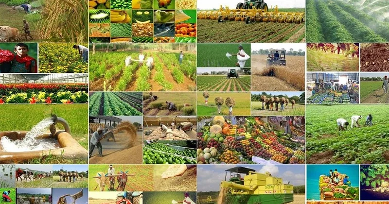 Kənd təsərrüfatının inkişafında yeni dövr başlayır TƏHLİL