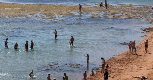 Misirdə turistlər dəniz əvəzinə açıq dəniz dibini görürlər...
