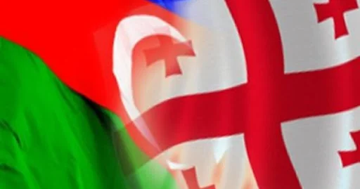 Qafqazda strateji tərəfdaşlıq: Azərbaycan və Gürcüstanın ortaq mövqeyi