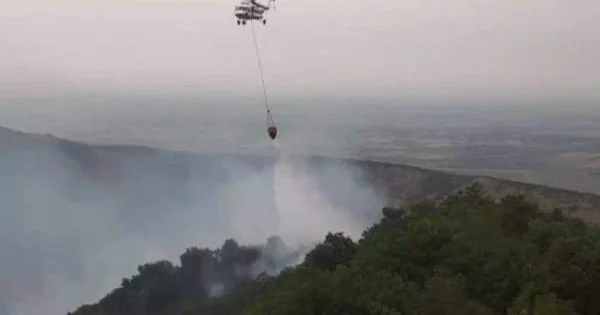 Ağdam və Ağdərədə meşəlik ərazidə yanğın başlayıb İki helikopter havalanıb
