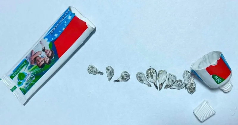 Diş məcununun içindən narkotik tapıldı