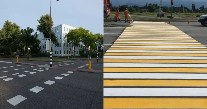 Sarı ağ zebra lar təhlükəsizliyi artırır? ARAŞDIRMA