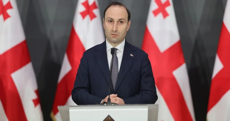 Gürcüstanda DTX rəhbəri istefa verdi Yeni vəzifəyə təyinat