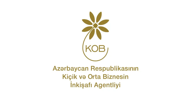 İsveçrədə KOBİA nın təşəbbüsü ilə Bakı İqlim Koalisiyasının təqdimatı keçirilib FOTO