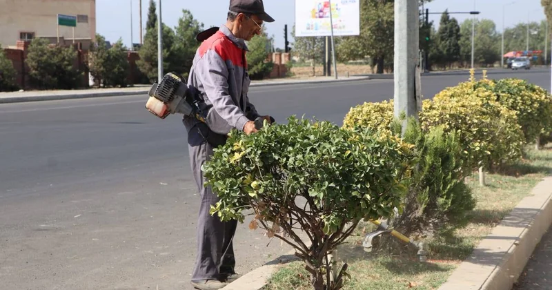 Şəhərin nəfəsi görünməyənlərin alın tərindən gəlir...