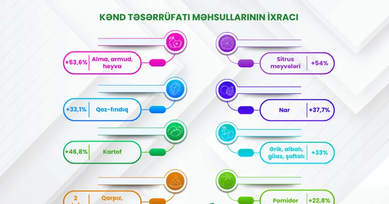 Xarici bazarlara meyvə, tərəvəz və bostan məhsullarının ixracında ciddi artım qeydə alınıb