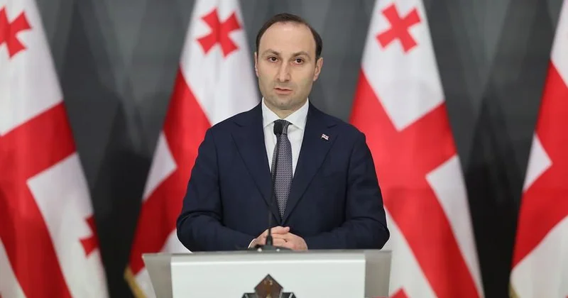 Gürcüstan DTX nin rəisi Kobaxidze ilə məsləhətləşmələrdən sonra istefa verib