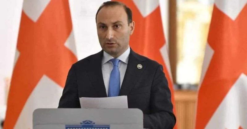 Gürcüstan DTX nin rəisi istefa verdi