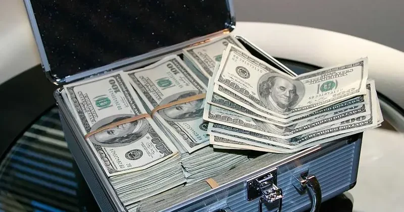 200 min dolları ölkədən çıxaran şirkət pulu hara köçürüb?