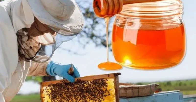 На продаже меда Кыргызстан заработал более 660 тысяч долларов за полгода