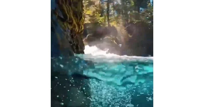 Кристально чистая река на Аляске ВИДЕО