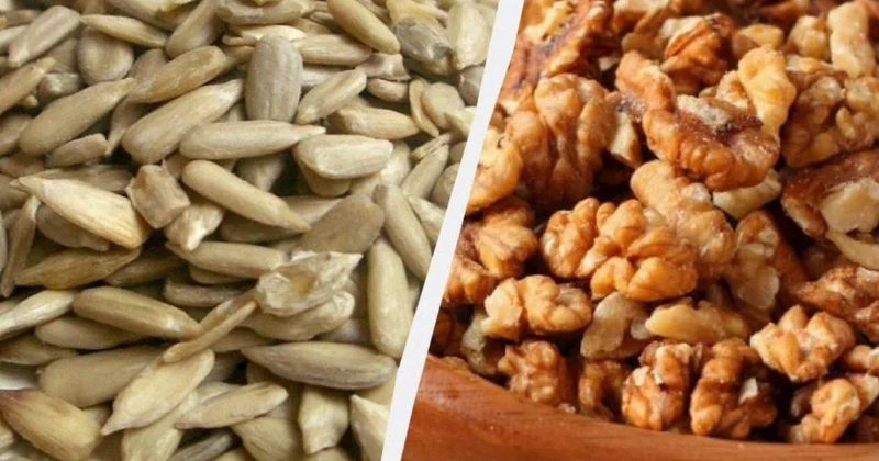 Beyin sağlamlığı üçün qoz, yoxsa günəbaxan tumu daha faydalıdır?