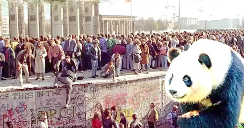 Soyuq Müharibənin ən qəribə cəbhəsi: KQB pandaları öldürdü