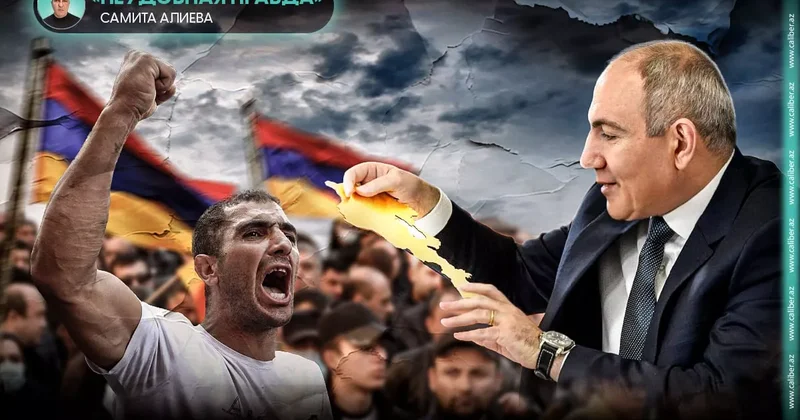 Синица в руке, или Контракт с дьяволом Неудобная правда Самита Алиева
