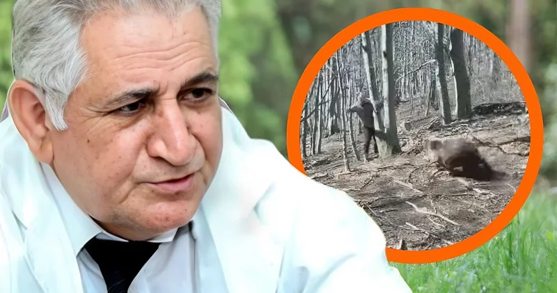 Ayıların kəndlərə hücum səbəbi bu imiş... Zooloq AÇIQLADI