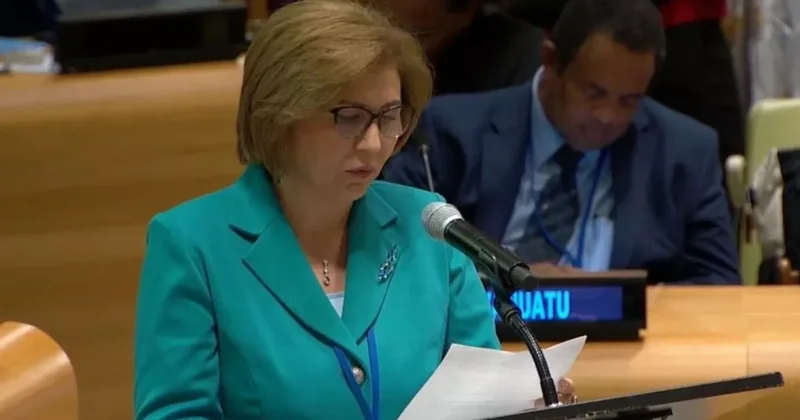 Мурадова о разработке законопроекта по оплачиваемому отцовскому отпуску в Азербайджане Совещание ООН в Нью Йорке