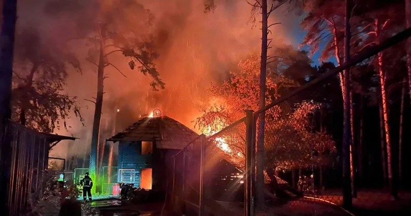 Novosibirskdə zoopark yanır...