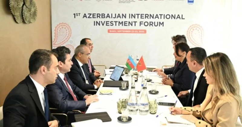 Azərbaycan Monteneqro ilə iqtisadi əlaqələrin inkişafına önəm verir Nazir