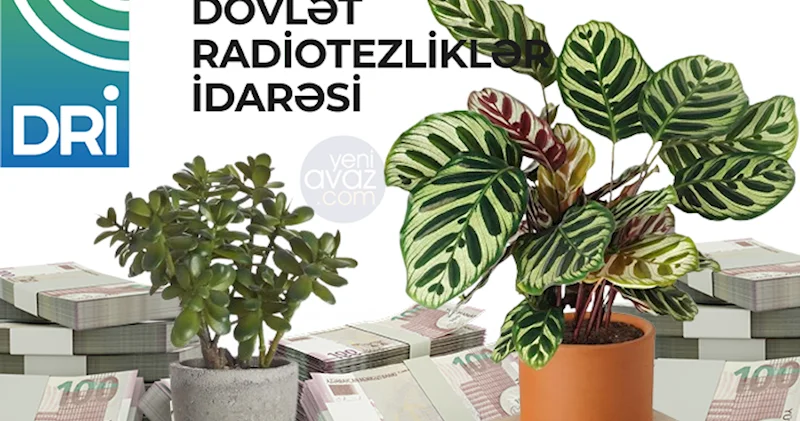 Radiotezliklər İdarəsi iki ildir bu şirkətdən 80 100 min manatlıq gül alır Siyahı