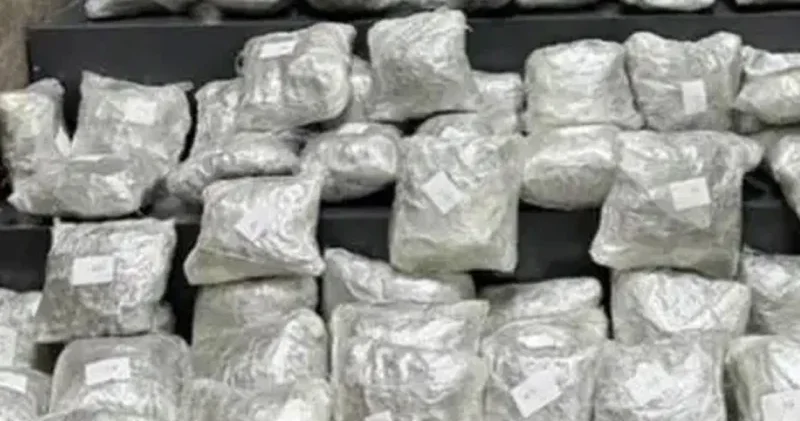 Türkiyədə 114 kiloqram narkotik ələ keçirilib
