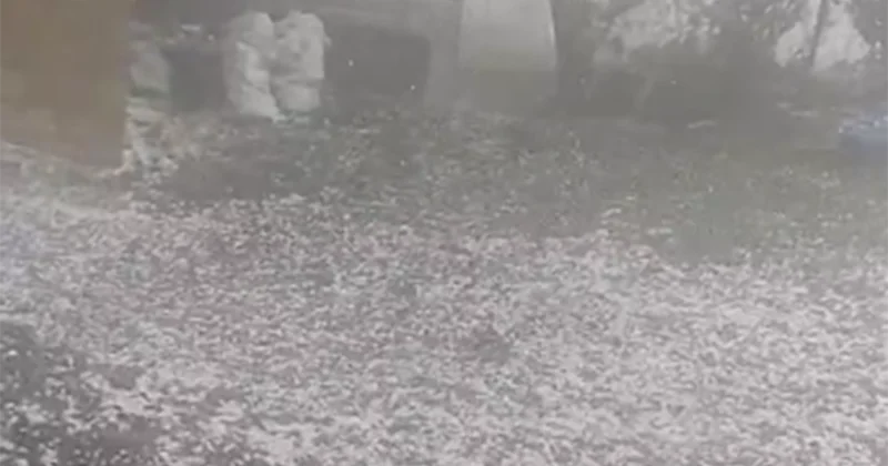 Tovuza elə dolu düşdü ki... Video