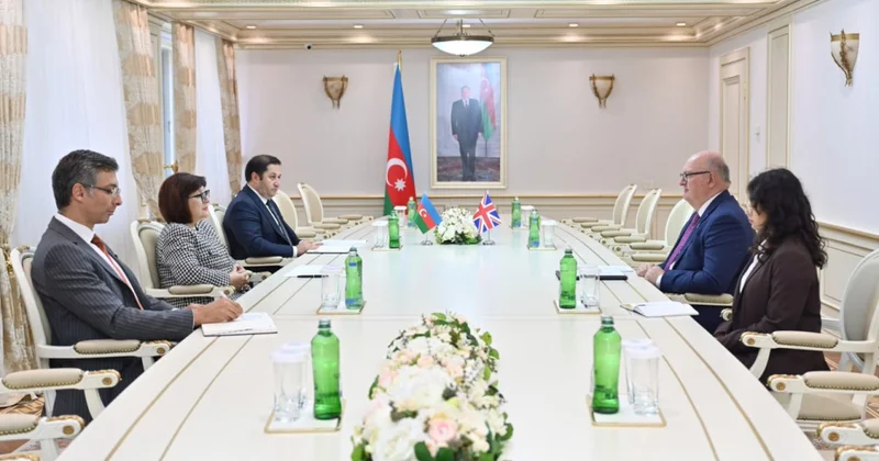 Milli Məclisin sədri Birləşmiş Krallığın ölkəmizdə yeni təyin olunmuş səfiri ilə görüşüb