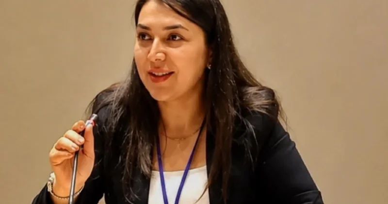 Bakı Təhlükəsizlik Forumu Azərbaycanın beynəlxalq təhlükəsizlik diplomatiyasındakı rolunu gücləndirir ŞƏRH