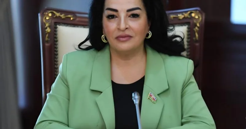 Azərbaycan iqtisadiyyatının dayanıqlılığının təmin edilməsi baxımından qeyri neft sənayesinin inkişafı strateji əhəmiyyət daşıyır Millət vəkili