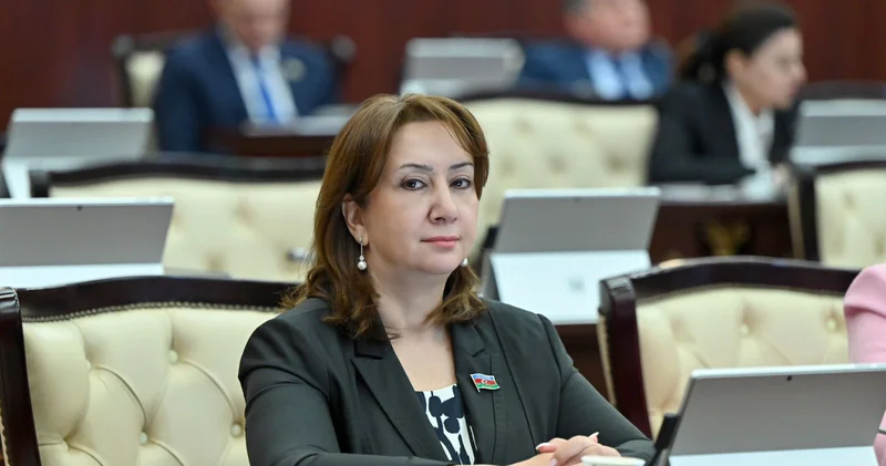 Mineral ehtiyatlar iqtisadi inkişaf üçün kapitala çevrilməlidir Deputat