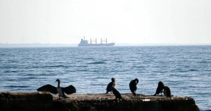 Россия нанесла удар по грузовому судну в Черном море: погиб капитан