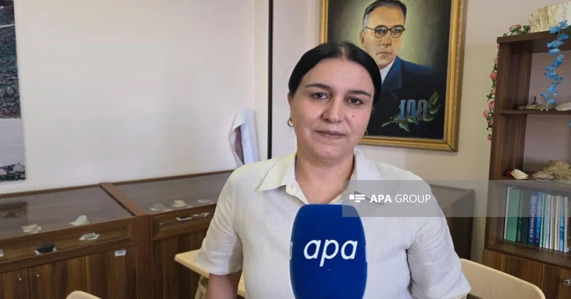 Dosent: Naxçıvanın geoloji quruluşu müxtəlif növ faydalı qazıntıların formalaşması üçün əlverişlidir