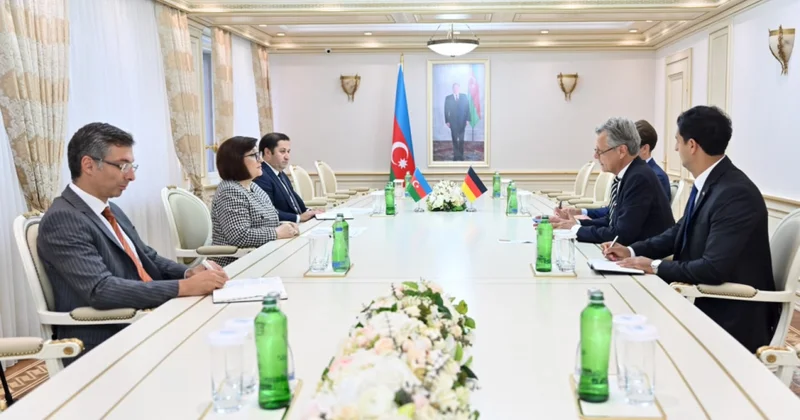 Almaniyanın Azərbaycandakı səfiri Milli Məclisdə olub