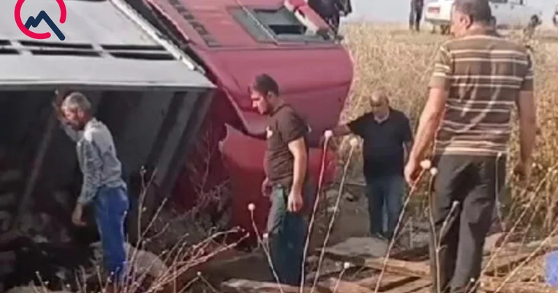 Sürücü yuxulayıb maşını aşırdı Heyvanlar tələf oldu