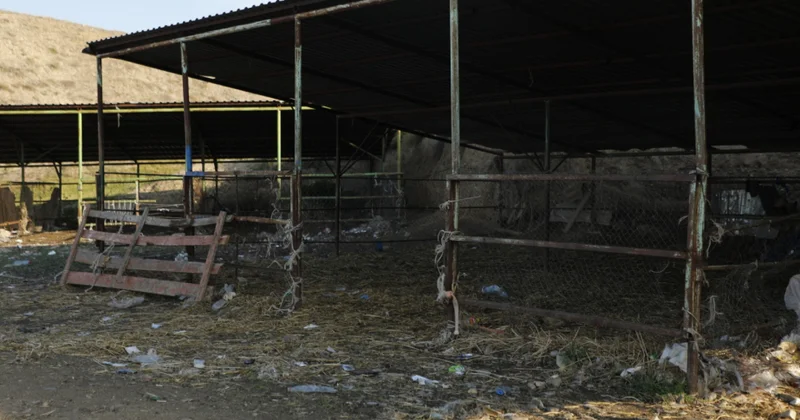 Tovuzdakı heyvan bazarında monitorinqlər keçirilib