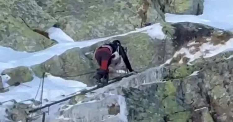 9 aylıq körpə ilə dağa DIRMANDILAR