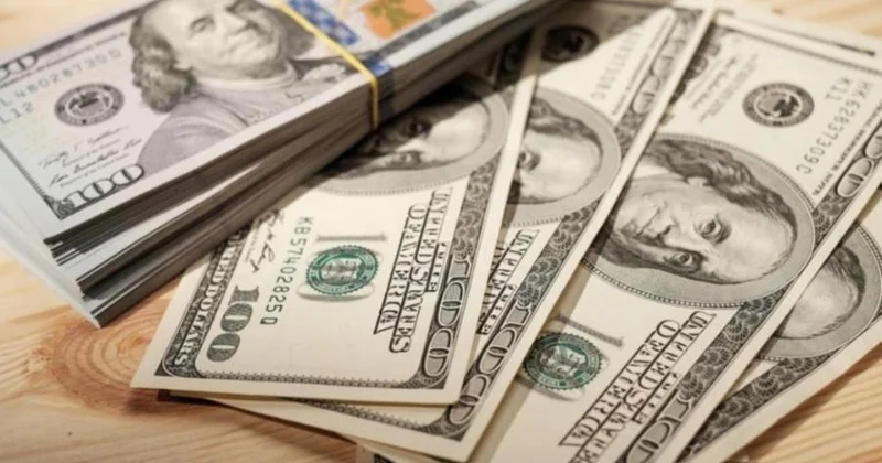 ARDNF nin investisiya portfelində dolların payı artıb