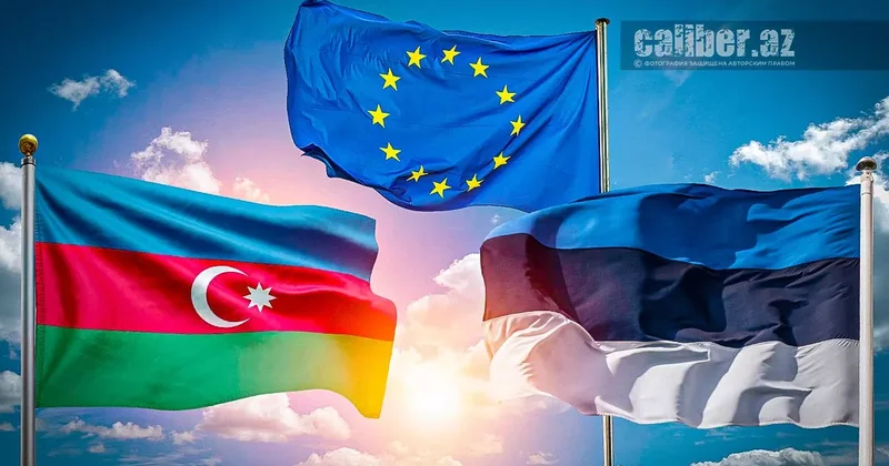 Азербайджан точка притяжения ЕС Статья Матанат Насибовой