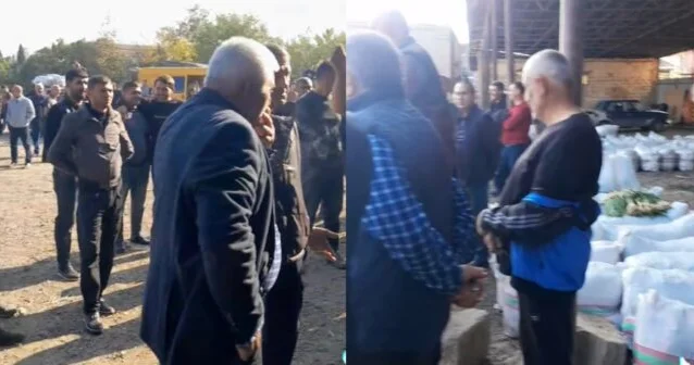 Goranboyda fermerlər ayağa qalxdı: qiymətə etiraz edirlər VİDEO KONKRET